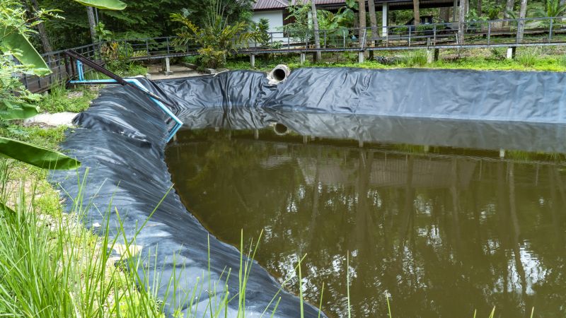 Pond Dock Repair